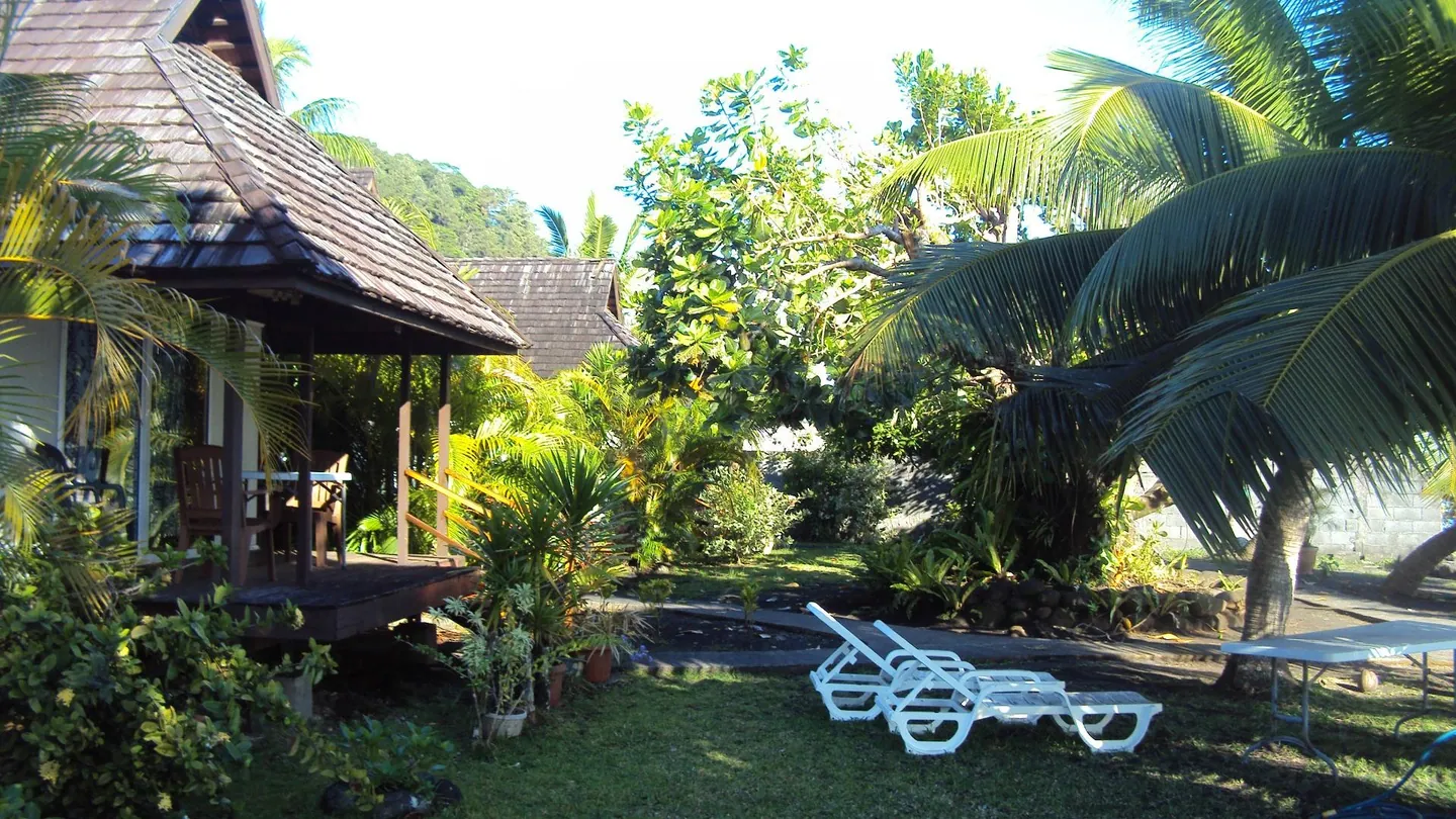 Le jardin à l'arrivée — transats sous les cocotiers