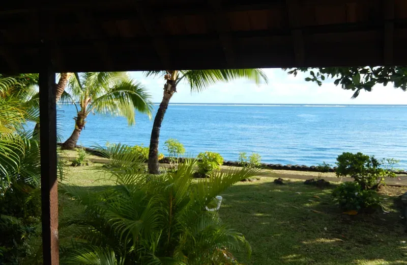 Snorkeling dans le lagon devant la pension