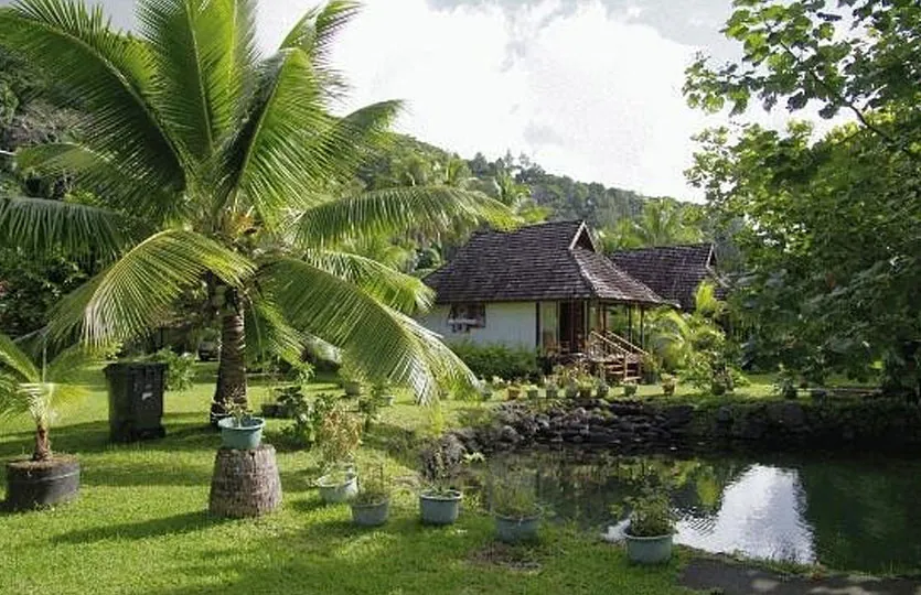 Le jardin de cocotiers et le bassin naturel